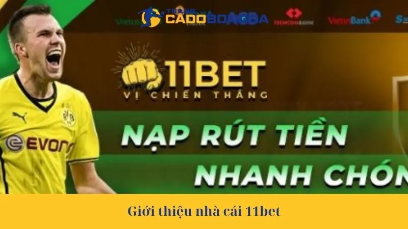 Giới thiệu nhà cái 11bet