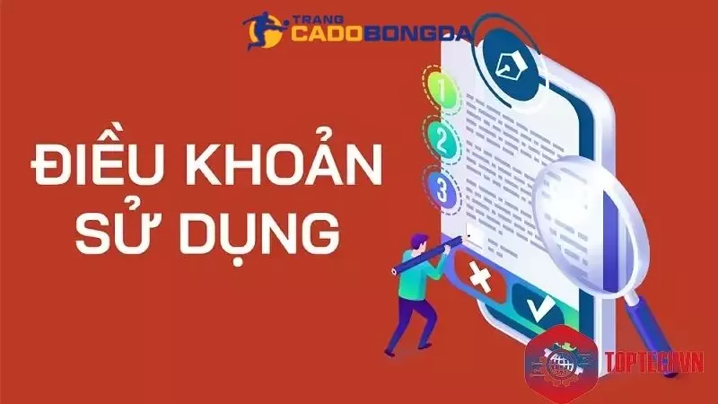 Điều khoản sử dụng là gì?