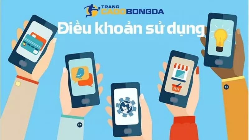 Một số điều khoản phổ biến nhất có tại trang web