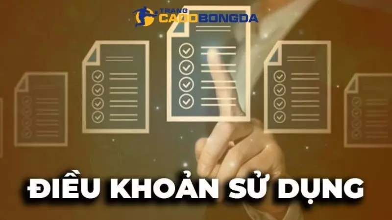 Những điều cần lưu tâm khi thực hiện điều khoản sử dụng