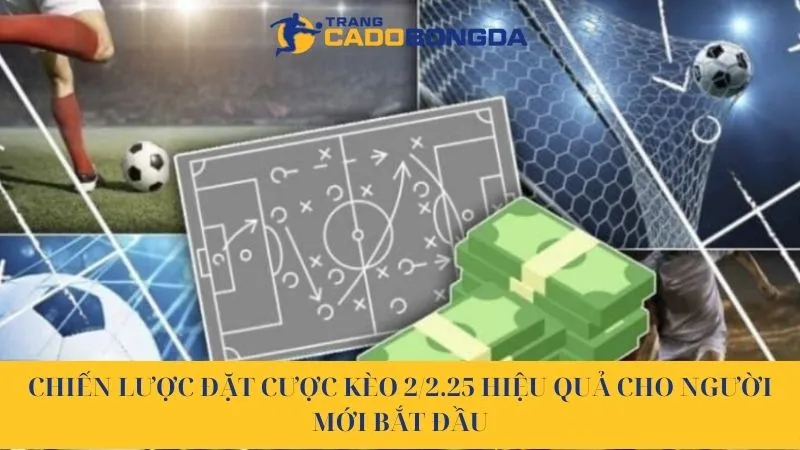 Cách đặt cược kèo 2/2.25 hiệu quả cho người mới bắt đầu