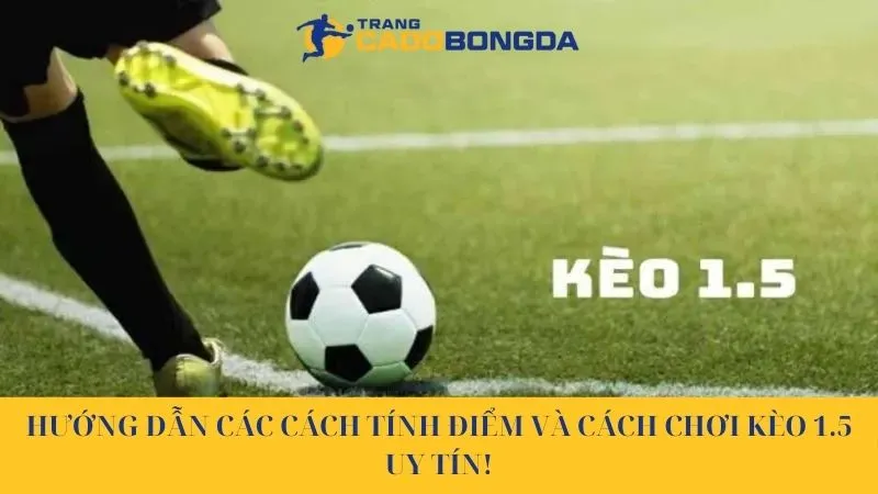 Kèo 1.5 Và Các Thông Tin Hướng Dẫn Về Kèo Chi Tiết Nhất