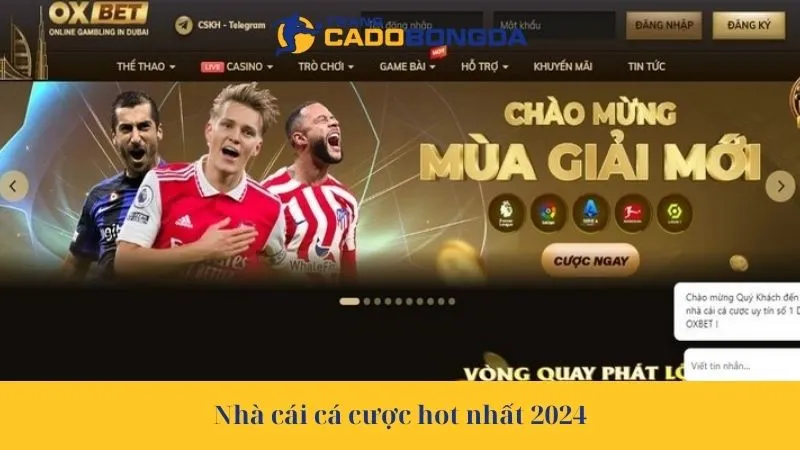 Nhà cái cá cược hot nhất 2024