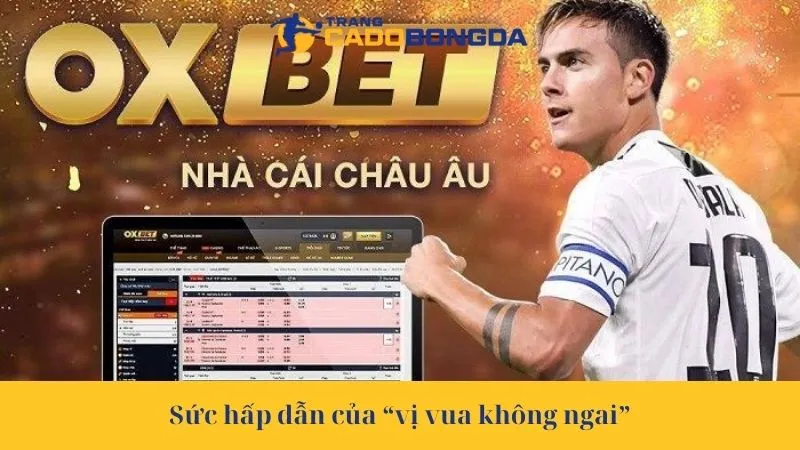 Sức hấp dẫn của “vị vua không ngai”