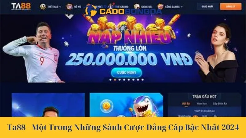 Ta88 - Một Trong Những Sảnh Cược Đẳng Cấp Bậc Nhất 2024